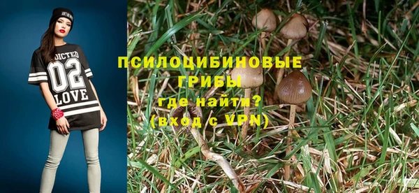 хмурый Алексеевка