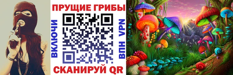 Галлюциногенные грибы прущие грибы  как найти наркотики  кракен вход  Кызыл 