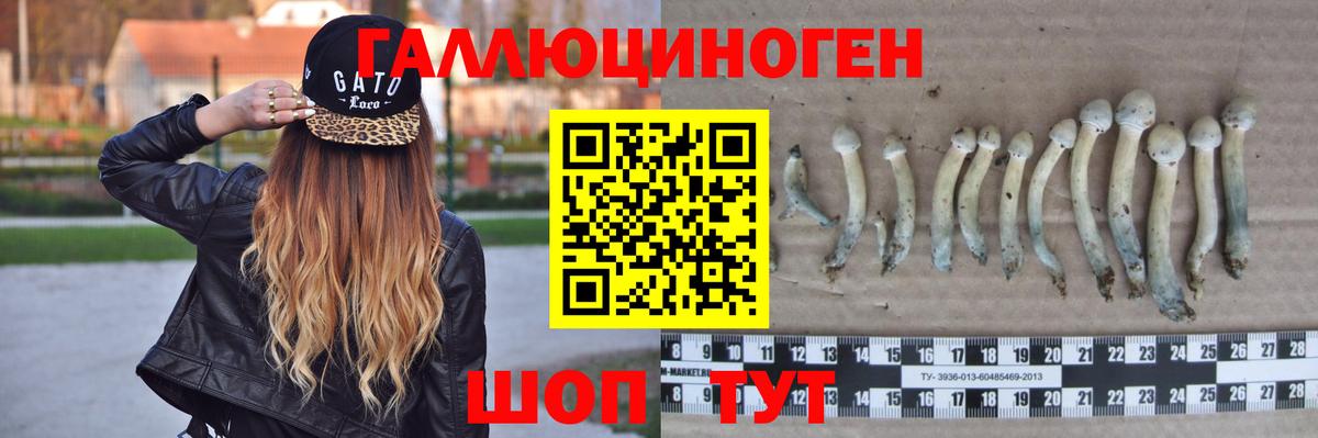 Галлюциногенные грибы прущие грибы Кызыл