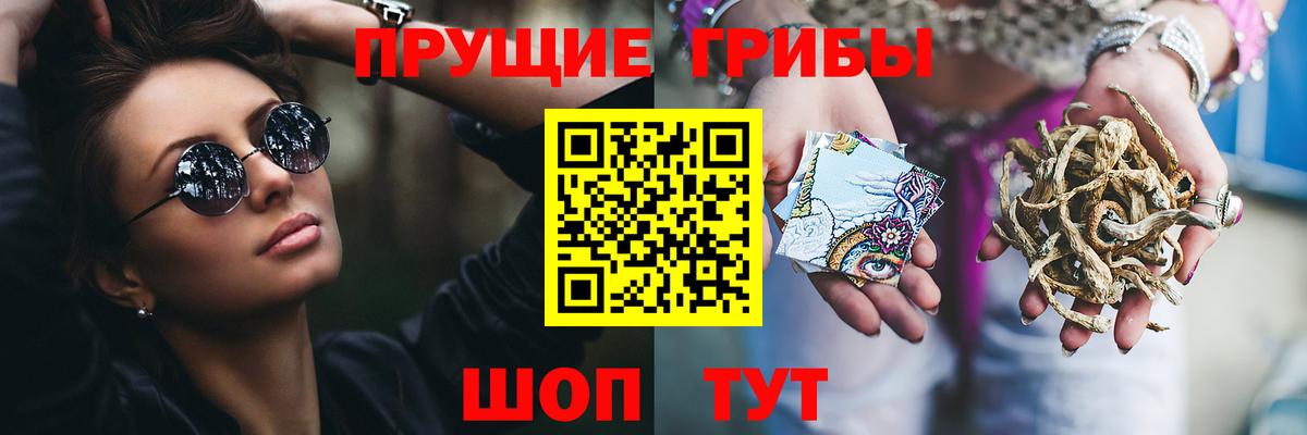 Кызыл  Псилоцибиновые грибы Magic Shrooms  Вход с VPN  Псилоцибиновые грибы MAGIC MUSHROOMS 